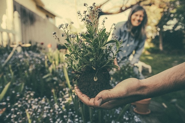 5 Reasons to Pick up Gardening During the Weekends