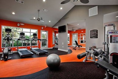 30+ Gym Interior Designs: Tips for Colours, Accessories