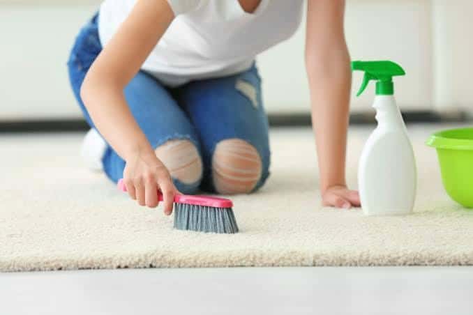 DIY Carpet Cleaners