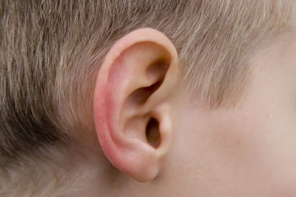 Ear Lobe Repair Visit Your Local Ear Doctor