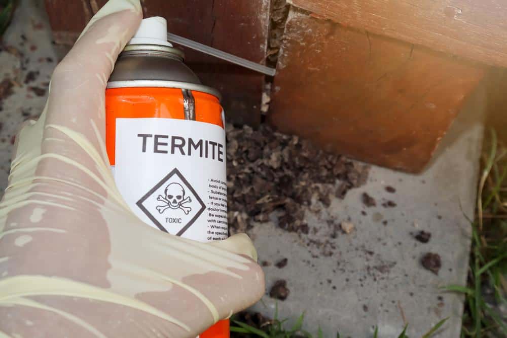 How To Control Termite Activity Effectively