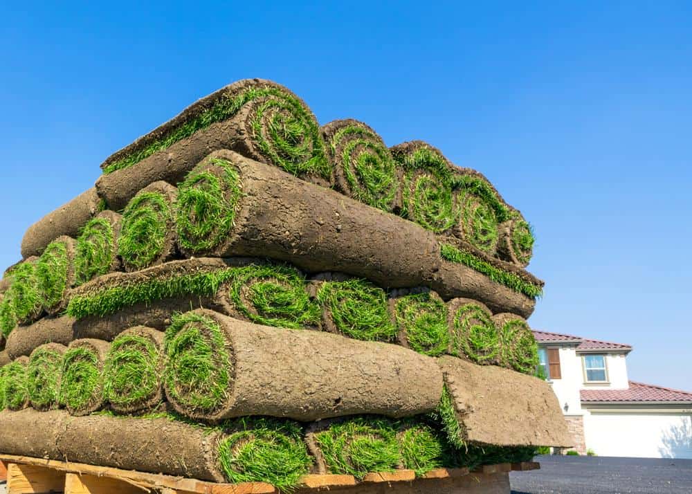 Why You Should Choose A Professional Sod Supplier For Your Next Project
