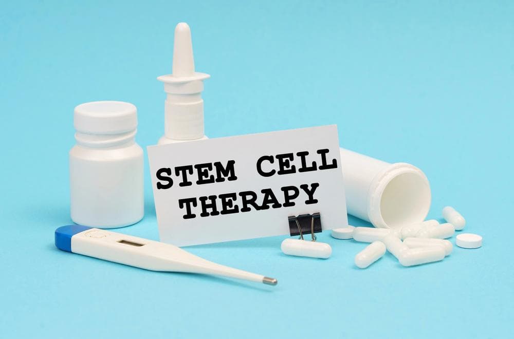 Revolutionizing Wellness: A Deep Dive Into Stem Cell Therapy In Stamford, CT