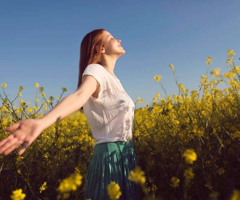 Manifesting Your Dream Life: A Beginner's Guide